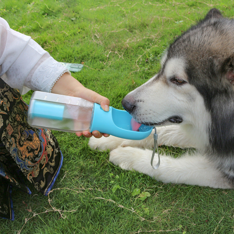 3-in-1 Pet Travel Buddy